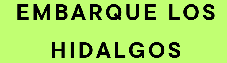 embarqueloshidalgosllc.taminternationalus.com